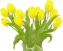 Šopek