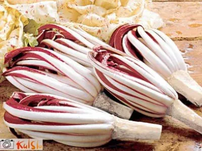 Smetanova omaka z radičem