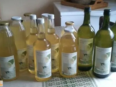 Bezgov sirup z agrumi