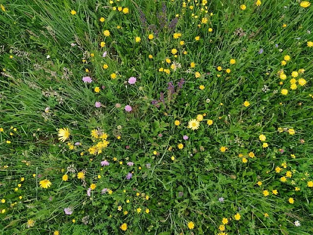 Sploh veste kaj pomeni biti resnično zdrav?