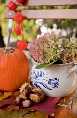 Jesenska dekoracija vašega vrta in doma