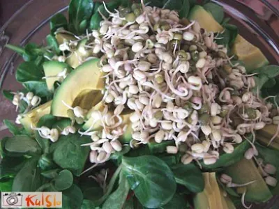 Presna solata s kalčki