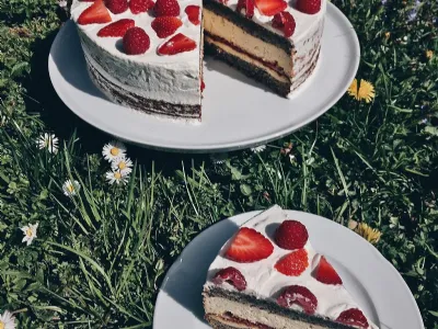 Gogina alpska torta