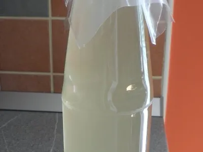 Bezgov sirup (z malo sladkorja)