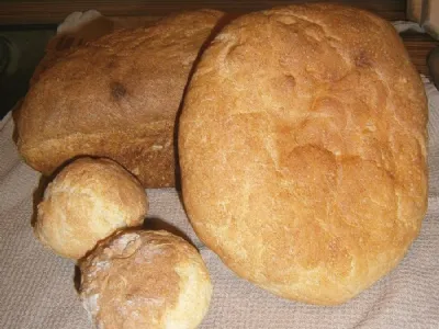 koruzni kruh